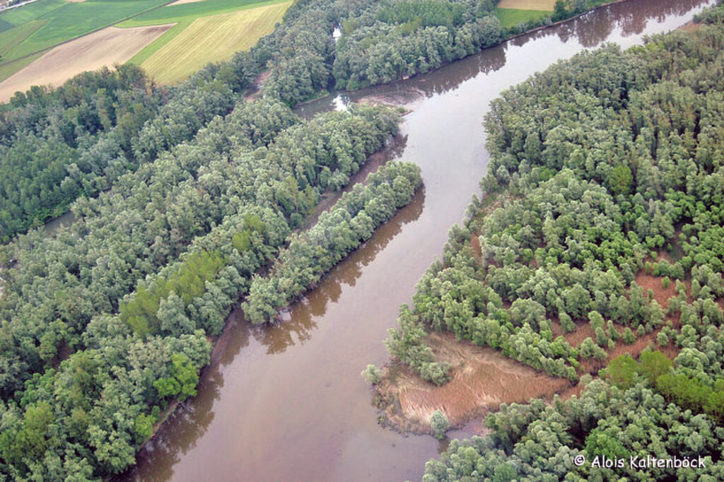 001_Naturinfozentrum-Saxen