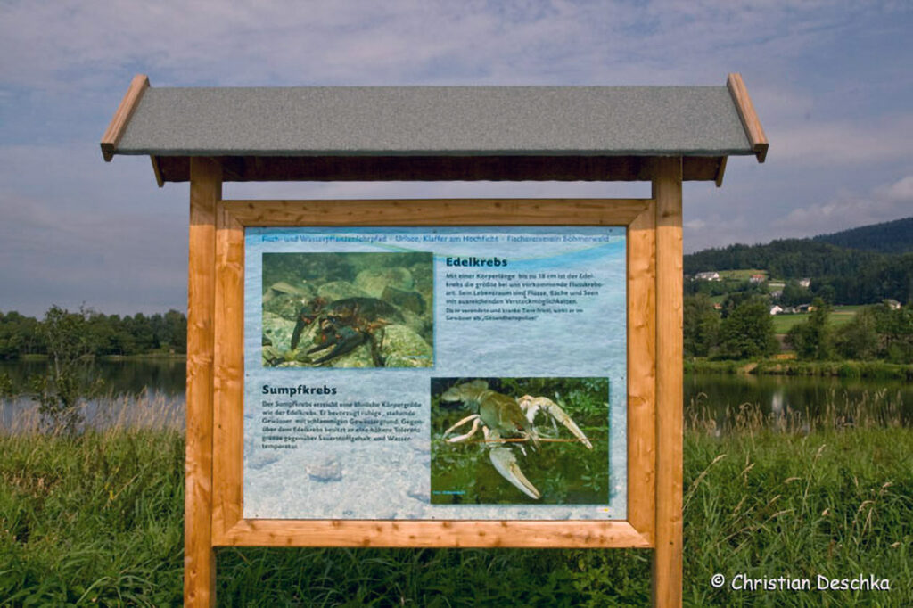 002_Fisch-und-Wasserpflanzenweg