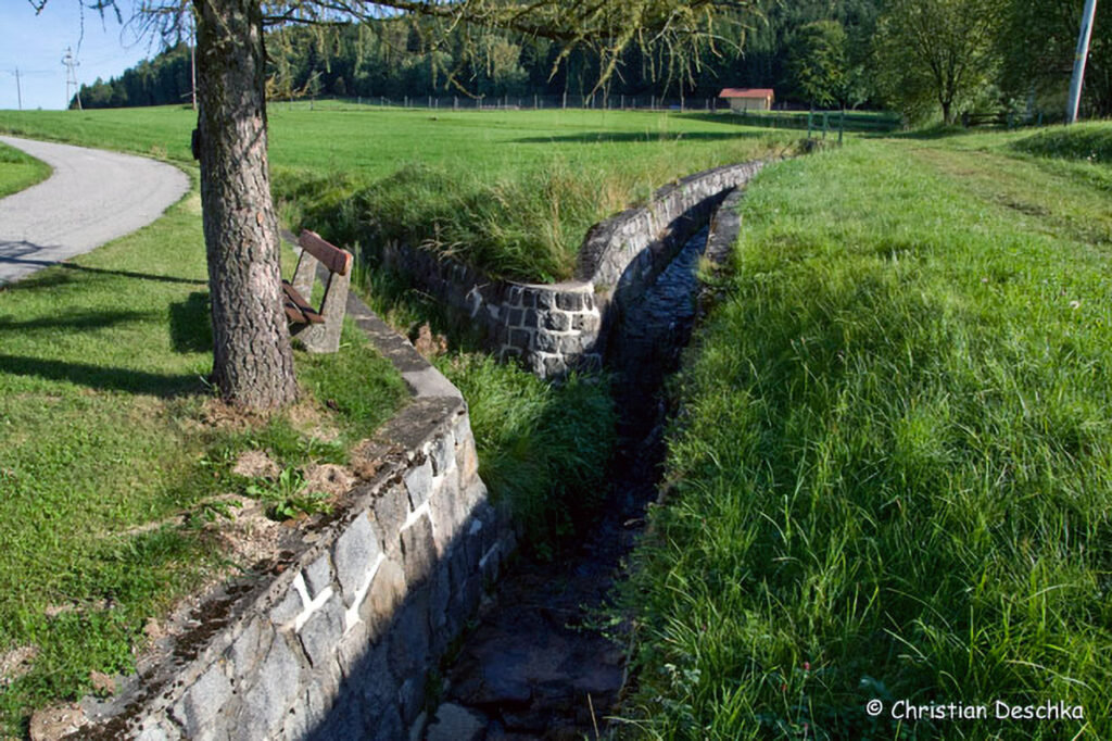 003_Amphibienprojekt