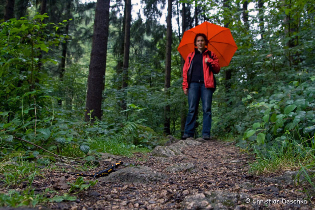 004_Naturschutzgebiet-Pesenbachtal