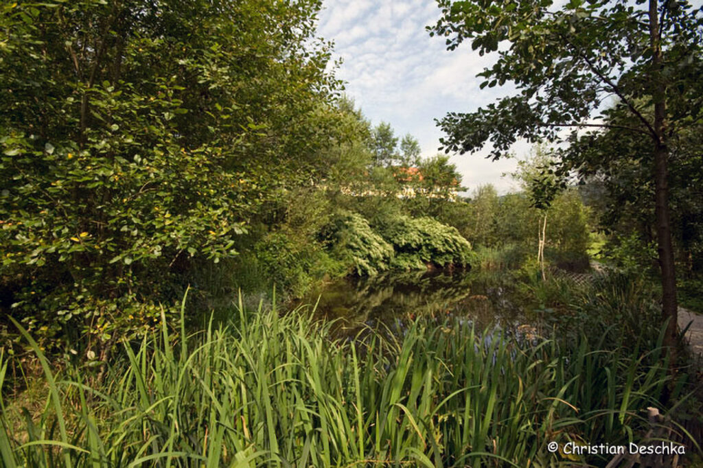 006_Fisch-und-Wasserpflanzenweg
