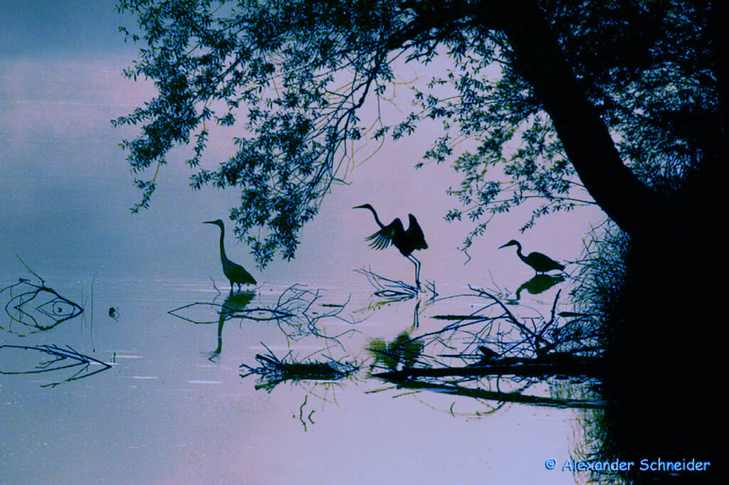 006_Naturinfozentrum-Saxen