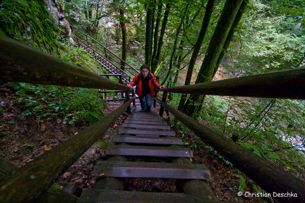 006_Naturschutzgebiet-Pesenbachtal