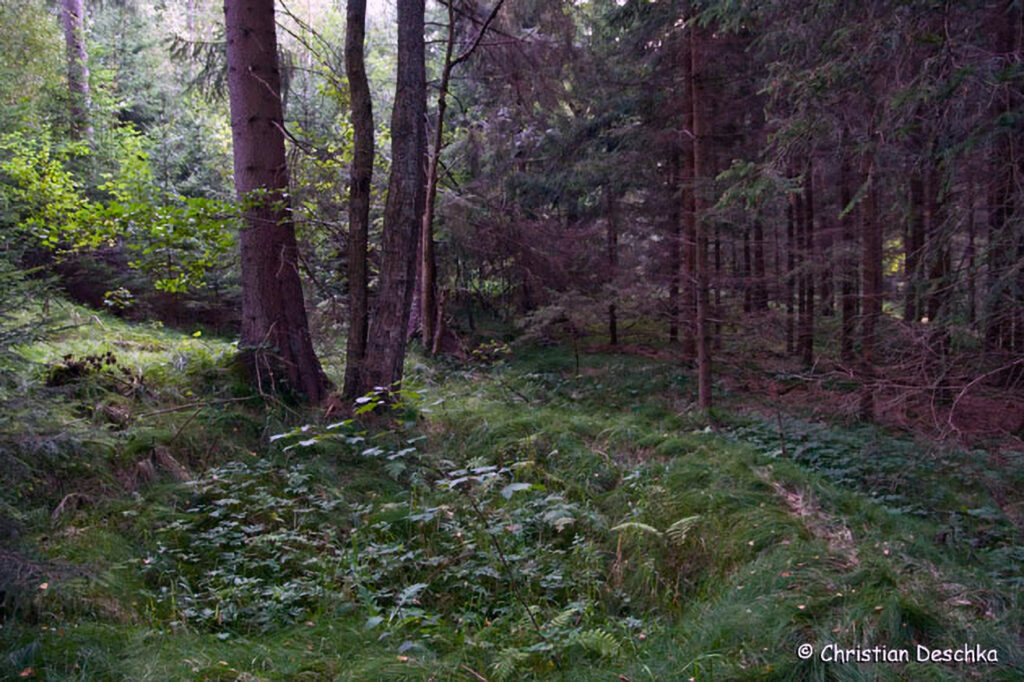 007_Amphibienprojekt