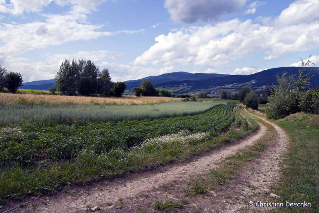 007_Landschaftsschutzgebiet-Oedenkirchen