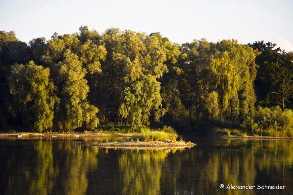 008_Naturinfozentrum-Saxen