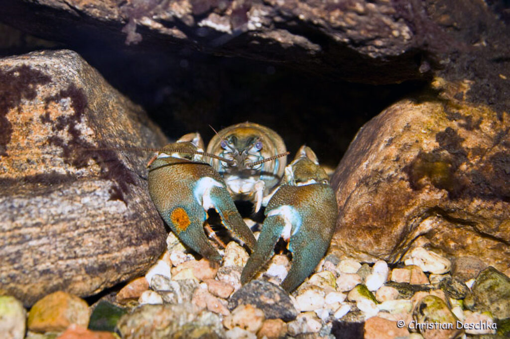 008_Unterwasserreich