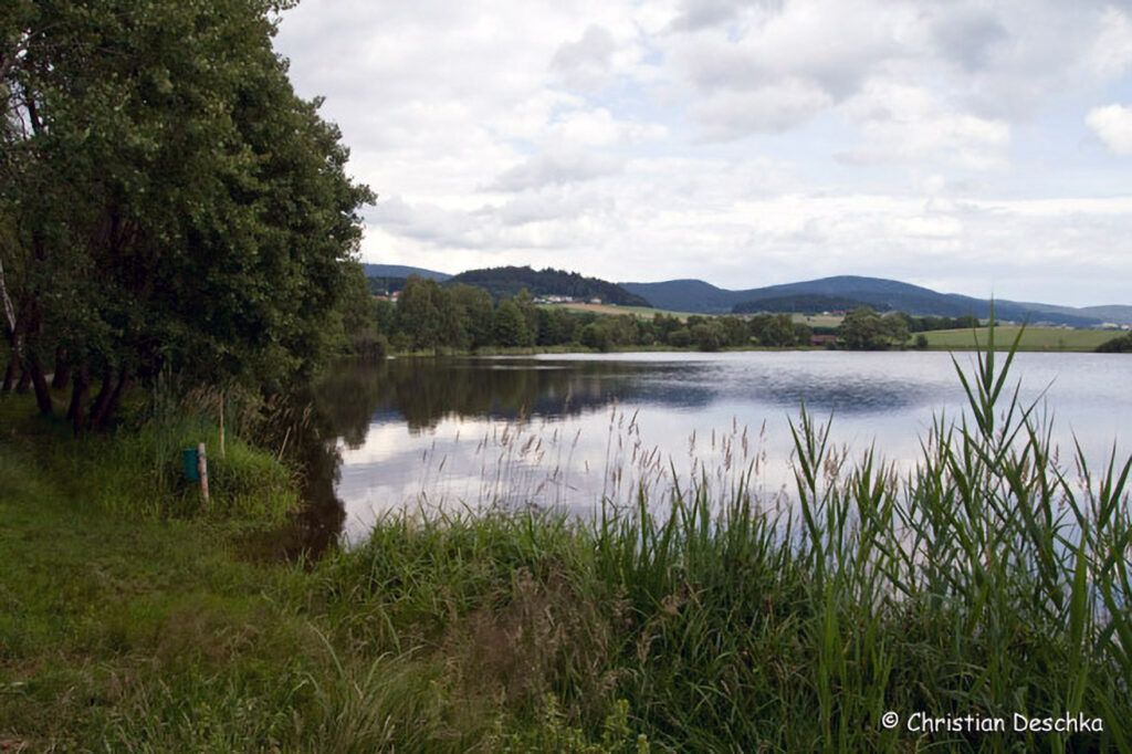 010_Fisch-und-Wasserpflanzenweg
