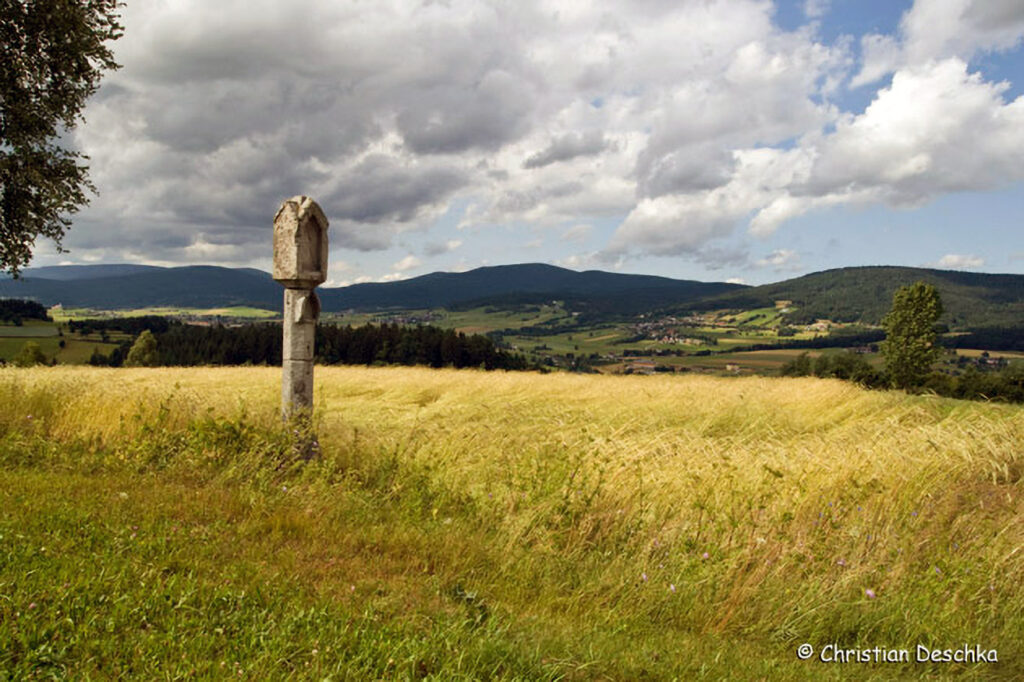 011_Landschaftsschutzgebiet-Oedenkirchen