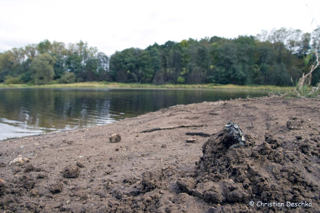 011_Tierspuren-Fotos