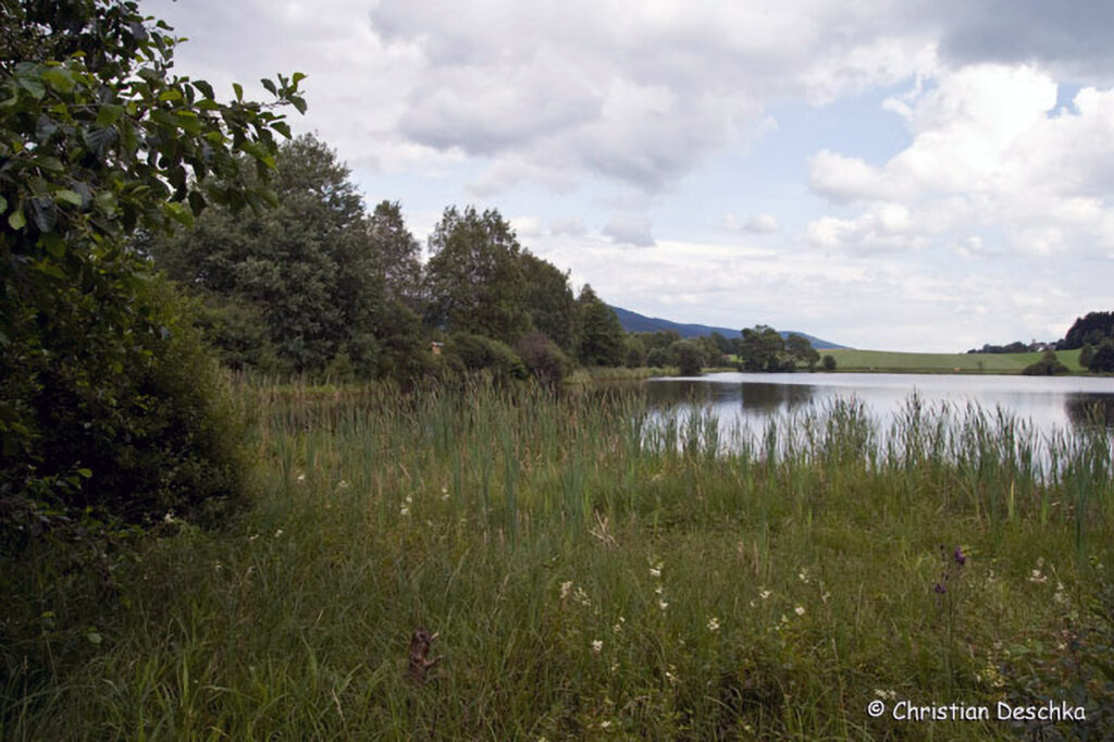 012_Fisch-und-Wasserpflanzenweg