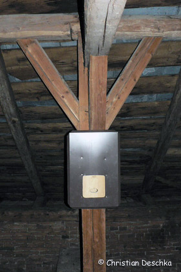 012_Fledermausprojekt