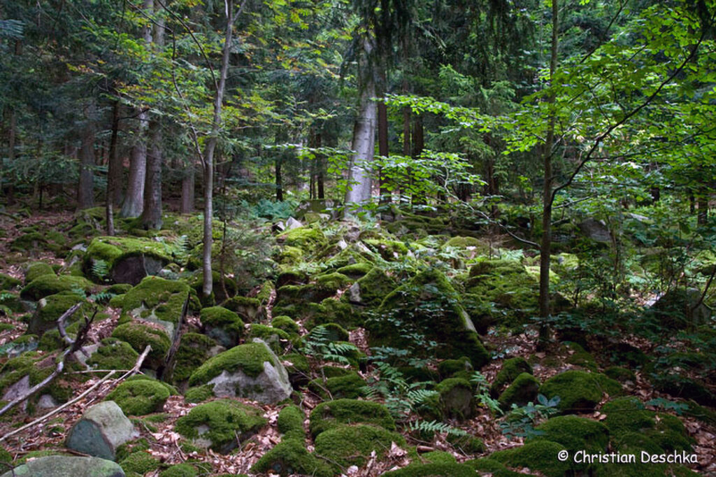 013_Kulturlandschaft