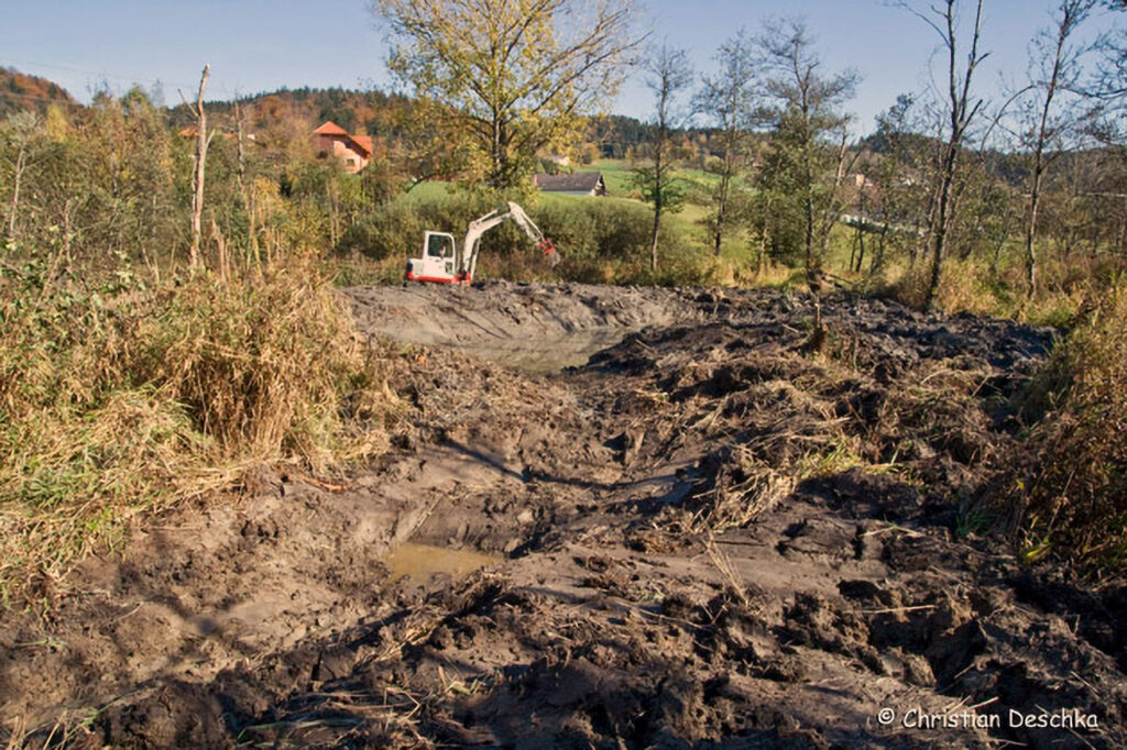 018_Amphibienprojekt