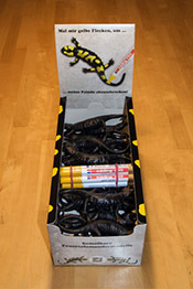 019_2_Feuersalamandermodell