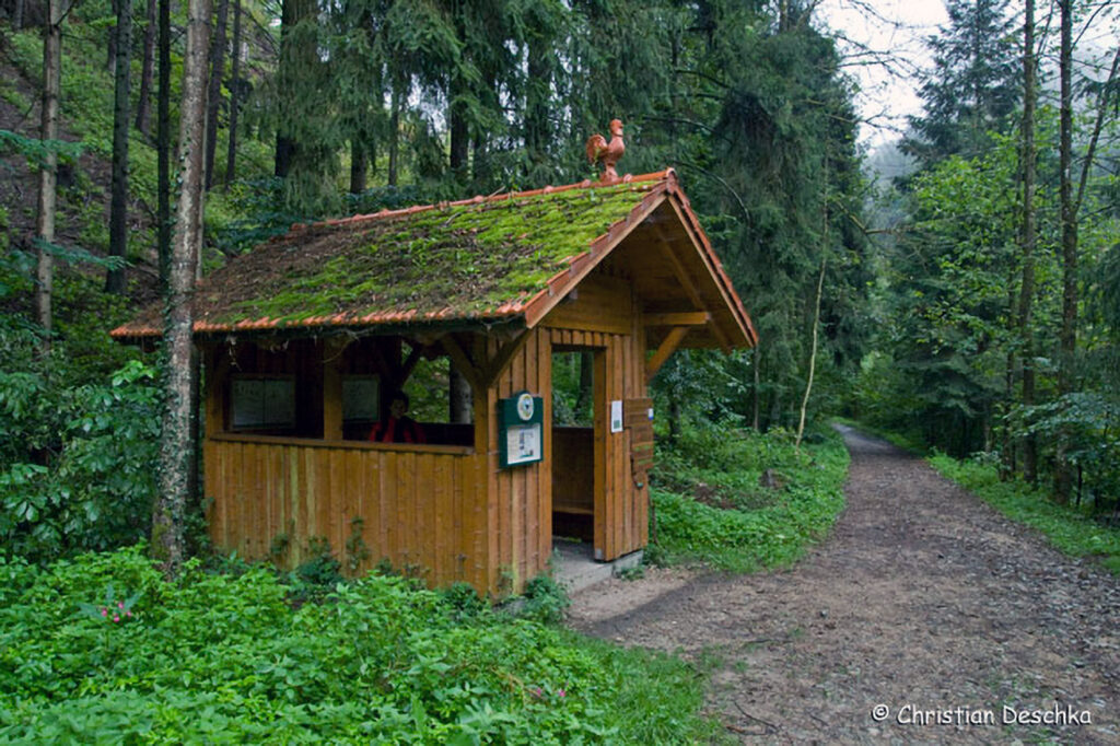 019_Naturschutzgebiet-Pesenbachtal