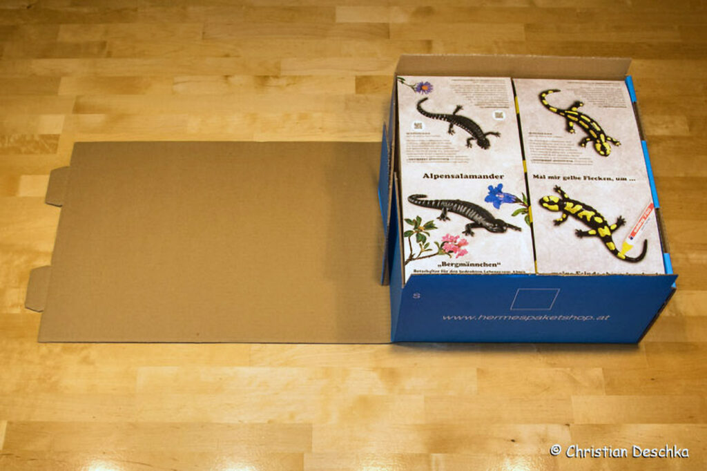 021_Feuersalamandermodell