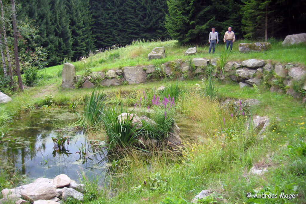 023_Amphibienprojekt