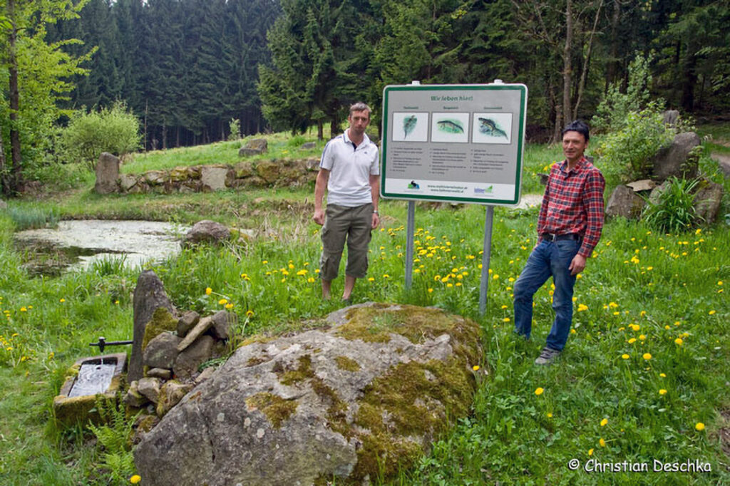 024_Amphibienprojekt