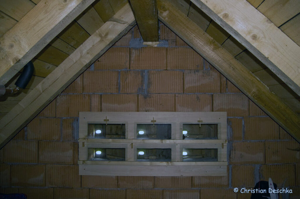 024_Voegel-an-Gebaeuden