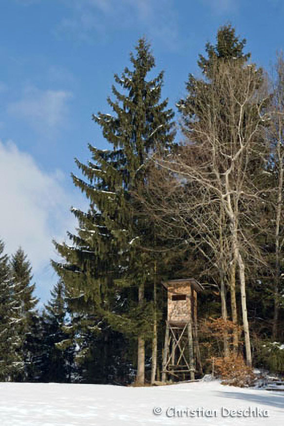 027_2_Tiere-im-Winter