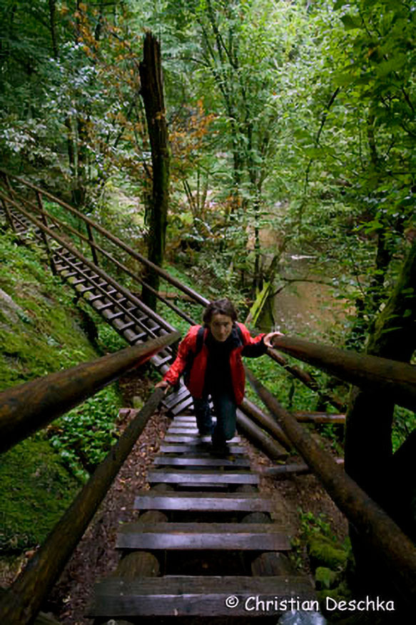 028_2_Naturschutzgebiet-Pesenbachtal