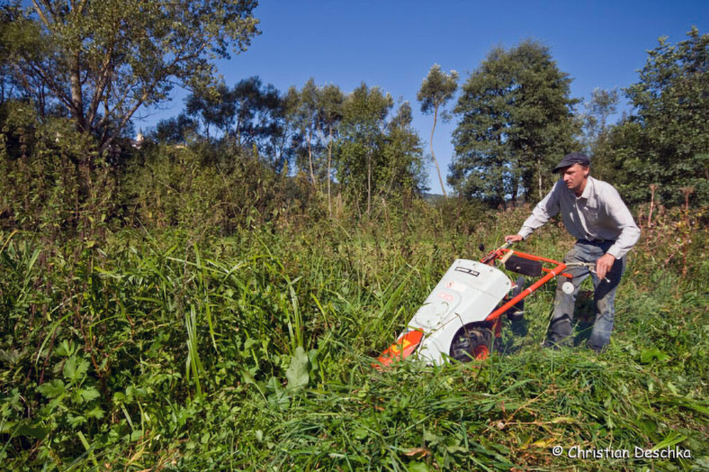 028_Amphibienprojekt