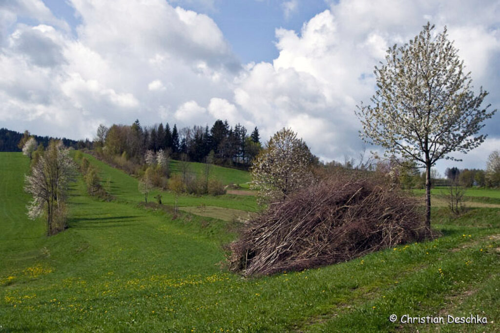 028_Kulturlandschaft