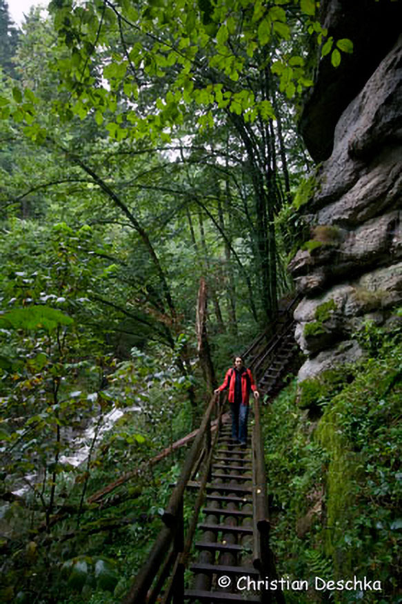 028_Naturschutzgebiet-Pesenbachtal