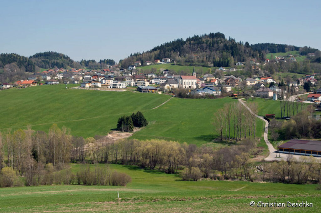 030_Amphibienprojekt