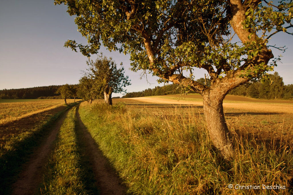 030_Kulturlandschaft