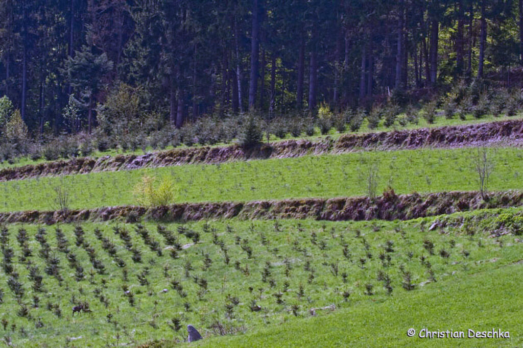 031_Kulturlandschaft