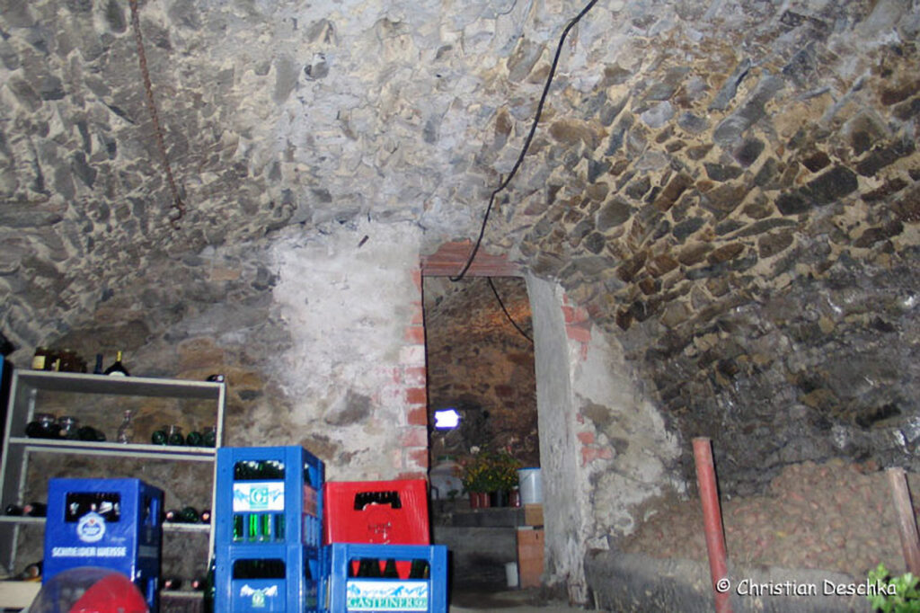 033_Fledermausprojekt