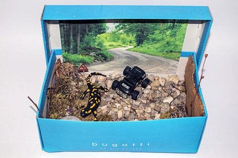 037_Feuersalamandermodell