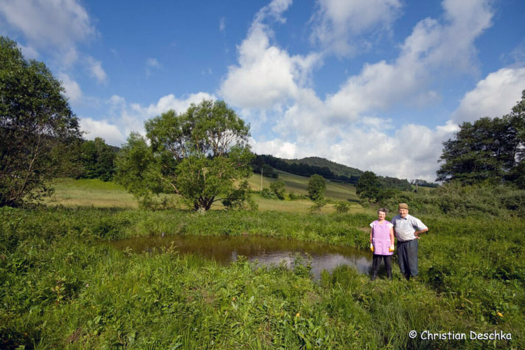 039_Amphibienprojekt