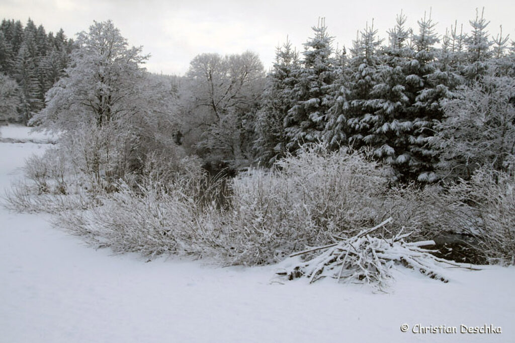 043_Tierspuren-Fotos