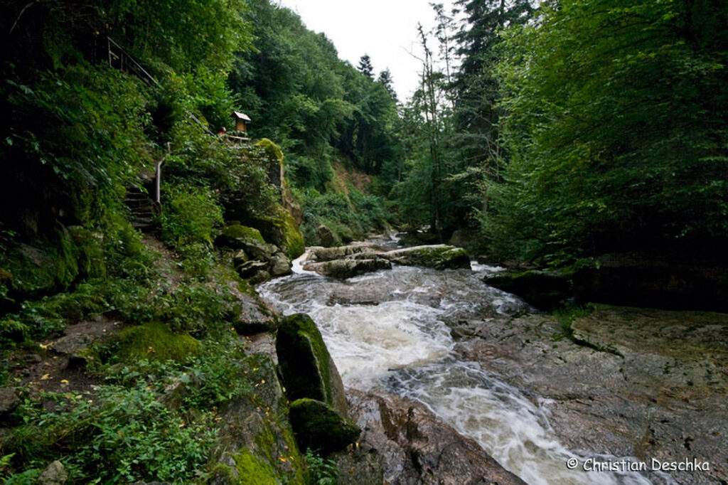 045_Naturschutzgebiet-Pesenbachtal