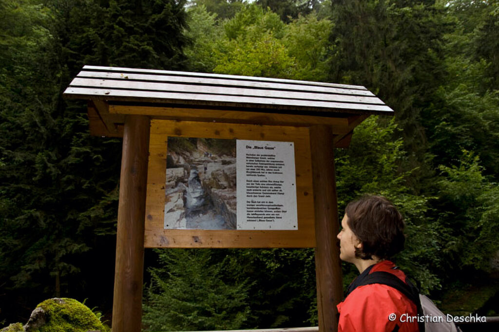 046_Naturschutzgebiet-Pesenbachtal