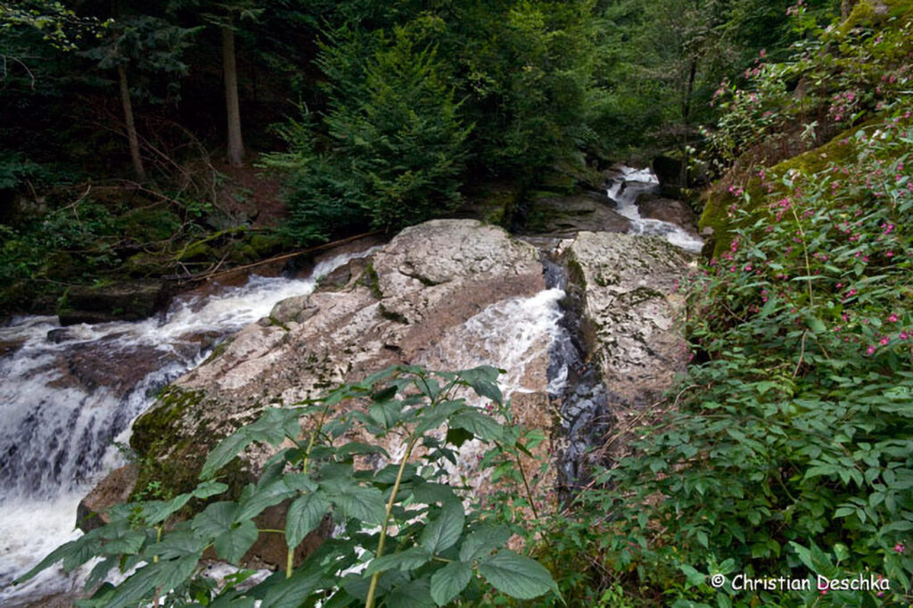 047_Naturschutzgebiet-Pesenbachtal