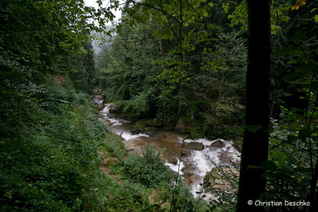 056_Naturschutzgebiet-Pesenbachtal
