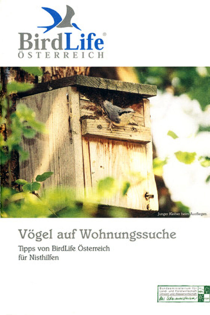 058_Voegel-an-Gebaeuden