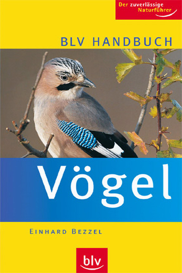 059_2_Voegel-an-Gebaeuden