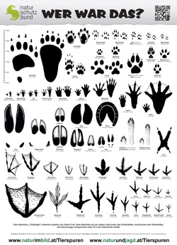 WER WAR DAS Trittsiegelposter A1